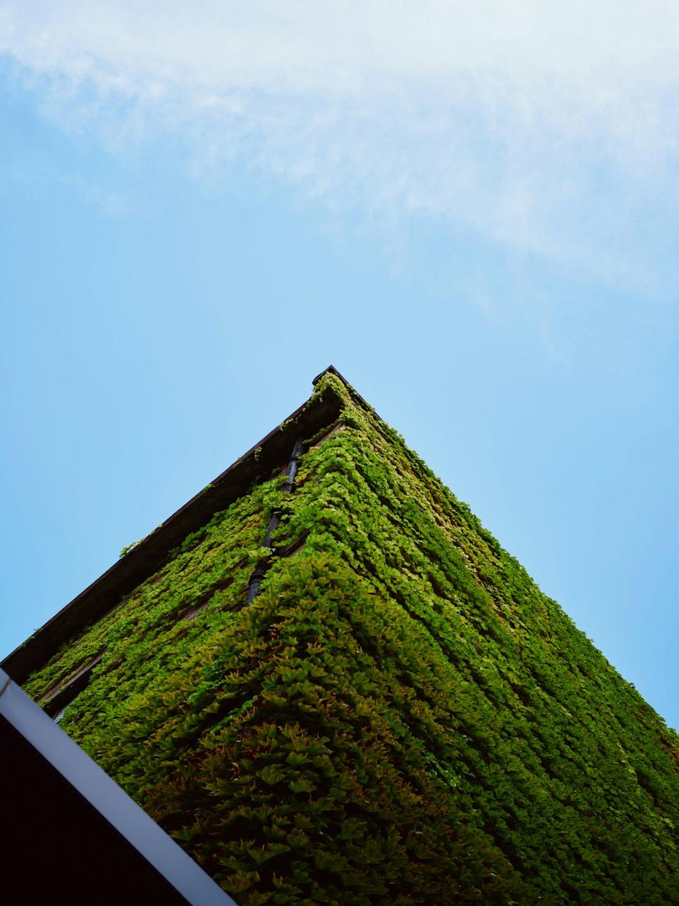 Energy efficient building
